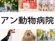 アン動物病院