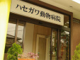 ハセガワ動物病院