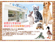 さくらい動物病院
