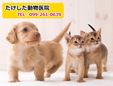 たけした動物医院