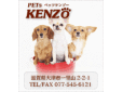 ペッツ・ケンゾー