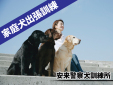 安来警察犬訓練所